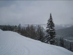 Image009 Image009